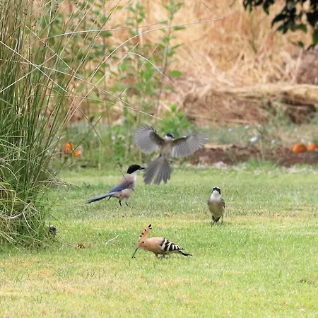 Quinta Fronteira Bensafrim