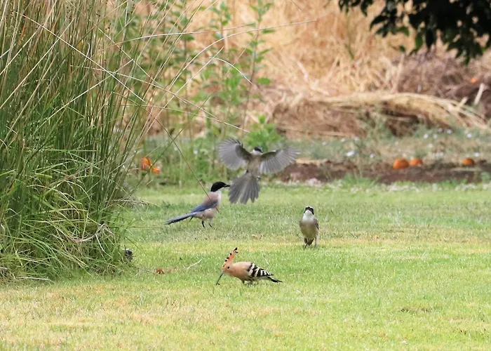Quinta Fronteira Bensafrim