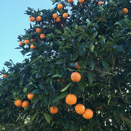 Quinta Fronteira